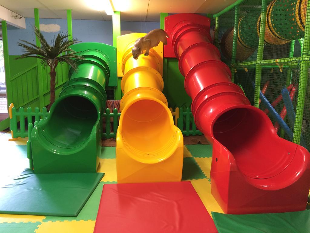 Uncle Joe'S Hostel Βίσμπυ Εξωτερικό φωτογραφία